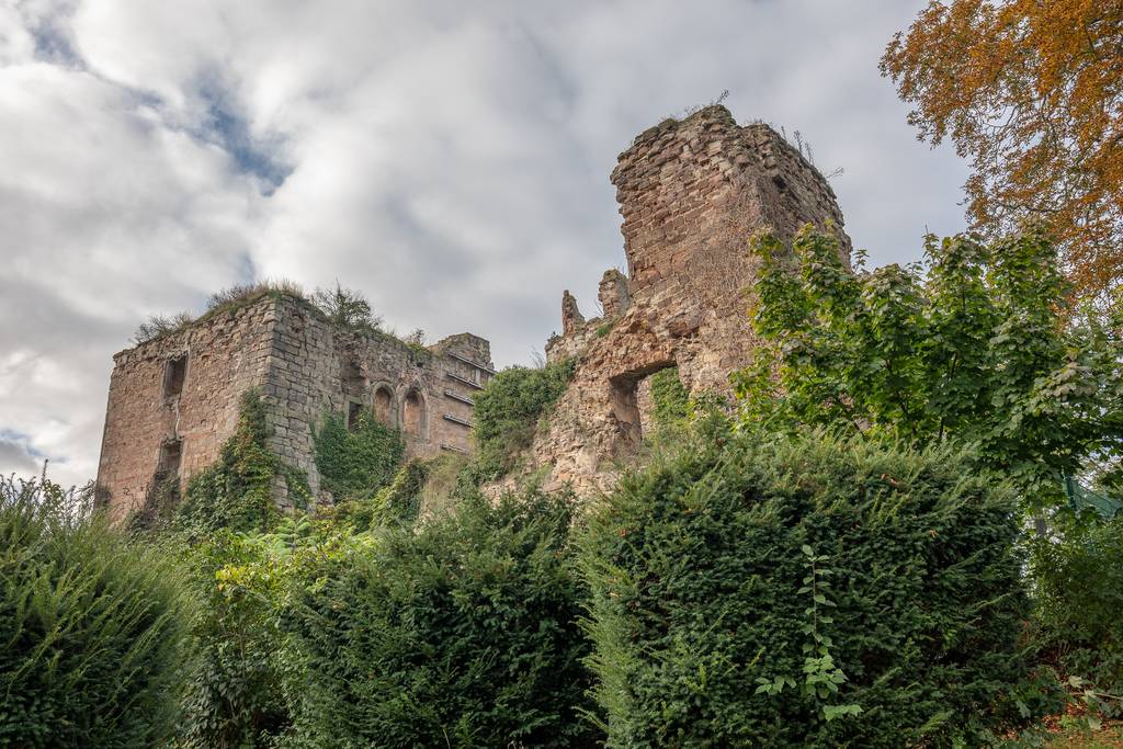 Tage der offenen Weinkeller und Weinberge in Nebra