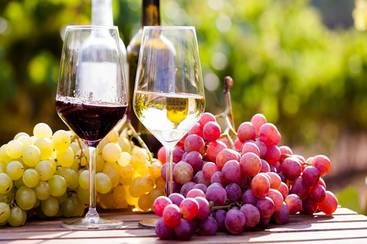 23.04.15 Weinverkostung