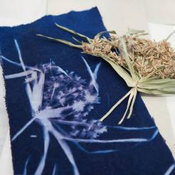 25.07.23 cyanotypie sonnenbilder 2