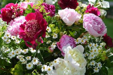 18.05.18. 21 Pfingsten Reinsdorf