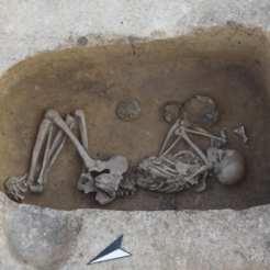 26.04.11 Vortrag Arche 26.04.11 Vortrag Arche