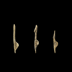 26.04.25 Vortrag Arche © LDA Sachsen-Anhalt, Foto: Juraj Lipták. 26.04.25 Vortrag Arche © LDA Sachsen-Anhalt, Foto: Juraj Lipták.