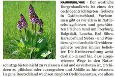 22.05.18 Orchideen.jpg