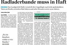 17.06.10 Radladerbande.jpg