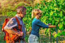 2025_07_31_wein.jpg
