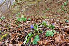 22.03.08 Geologischer Wanderpfad.jpg