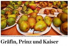 17.09.29 Nabu.jpg