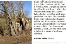 2025_03_12_baumruinen..jpg