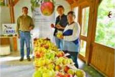 22.09.15_obstsortenbestimmung.jpg