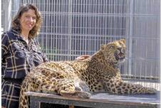 22.06.23 Leoparden.jpg