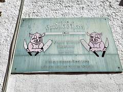 20240501_095535.jpg