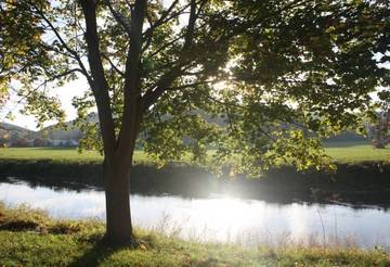 An der Unstrut