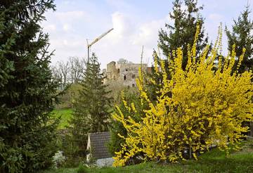 20250409_Frühling.jpg