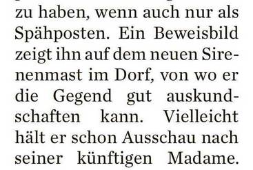 Adebar in Reinsdorf