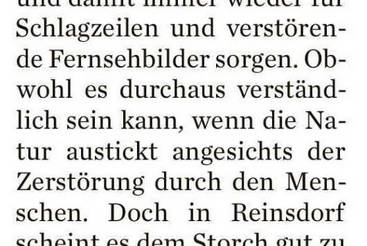 Meister Adebar in Reinsdorf