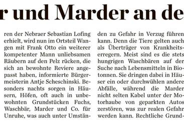 Waschbär und Marder an den Pelz