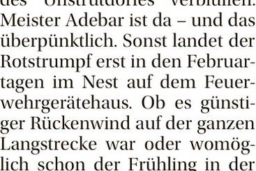 Meister Adebar in Reinsdorf-