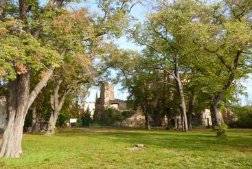 Schlossruine Nebra