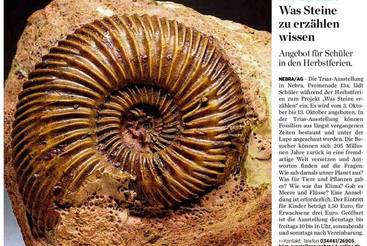 Was Steine zu erzählen wissen