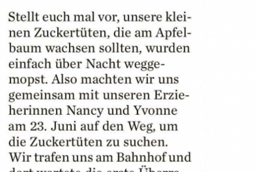 Auf Suche nach Zuckertüten