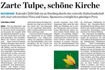 Zarte Tulpe, schöne Kirche