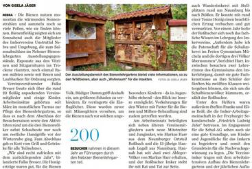 Vor Winter bienenfleißig