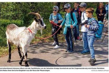 Spaß und Lernen mit Ziegen
