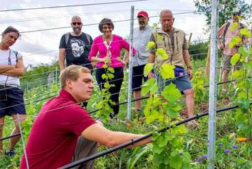 Den Wein genießen. wo er wächst