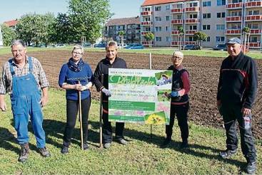 Blumen im Wohngebiet als Nahrung