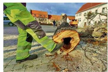 Wahrzeichen verschwindet vom Markt