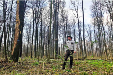 Inventur im Wald