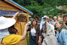 https://www.stadt-nebra.de/var/cache/thumb_17589_1067_1_226_152_r4_jpeg_bienenlehrgarten_.jpeg