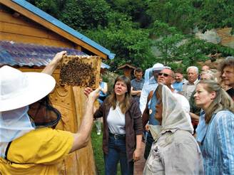 Bienenlehrgarten-.jpg