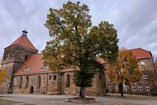 https://www.stadt-nebra.de/var/cache/thumb_18002_1067_1_226_152_r4_jpeg_20241021_182129.jpeg