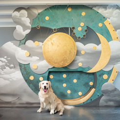 25.06.03 Arche doggy_day.png