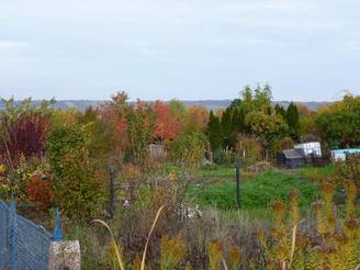 P1000755.JPG P1000755.JPG