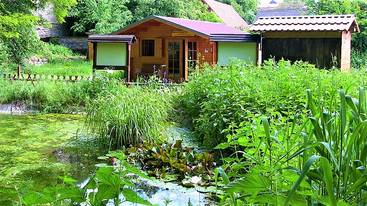 Teich Bienenlehrgarten.jpg