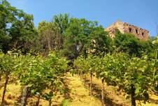 https://www.stadt-nebra.de/var/cache/thumb_20922_1067_1_226_152_r4_jpeg_schlossweinberg.jpeg