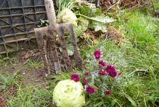 https://www.stadt-nebra.de/var/cache/thumb_20957_1067_1_226_152_r4_jpeg_gartenidyll.jpeg